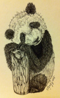 photo/513f63d1-2d39-4c75-bc92-48aa0c6599fb-3