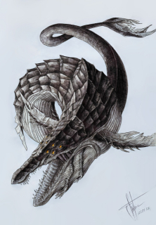 photo/913a68e3-e410-4d50-be30-07b379b1c929-3