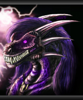 photo/d5c0d6e2-a057-4f1d-9f88-c0cdc69677de-3