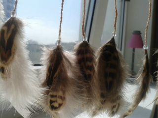 photo/dbf6e2b6-9c9a-47d2-8529-8b3239749853-3